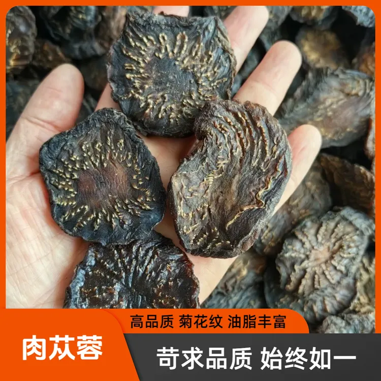 内蒙阿拉善肉苁蓉圆片精选秋冬季直径3cm～6cm中药材搭配肉桂 枸杞