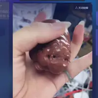 李书锦保真天然金丝玉貔貅把件  拍一发一（多样性发货）