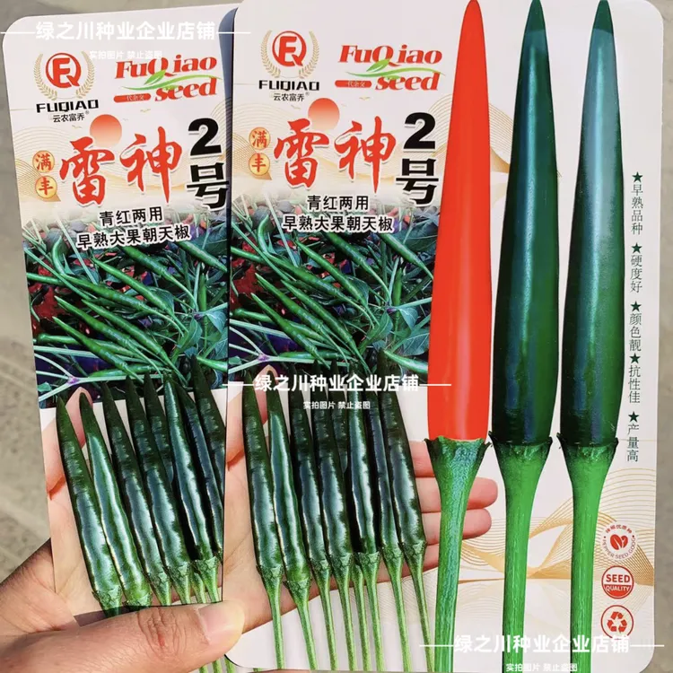 满丰雷神2号朝天椒种子大果青红两用黑绿色辣椒种早熟泰国朝天椒