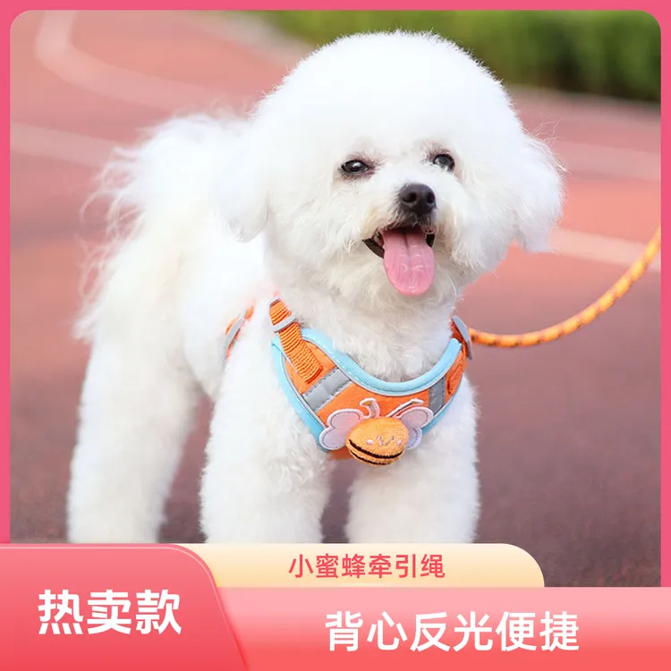 狗狗牵引小型犬比熊泰迪博美背心式胸背带反光宠物狗狗绳胸背带