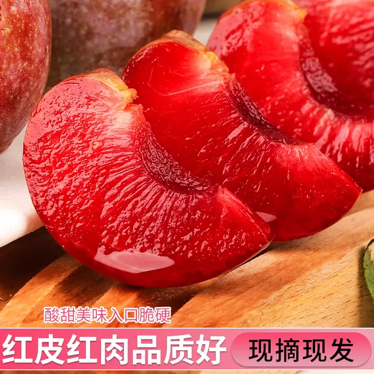 福建红肉特大果芙蓉李孕妇酸甜多汁脆口解腻开胃水果李子当季