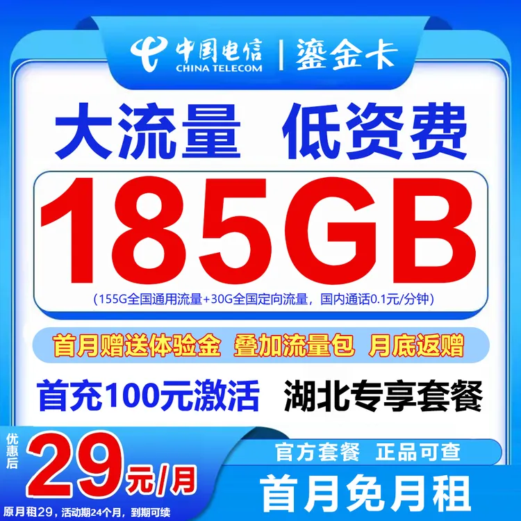CHINA TELECOM/中国电信仅发湖北29元/月185G高速大流量卡