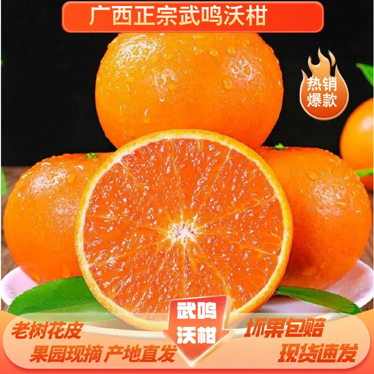 广西武鸣沃柑水果当季应季新鲜橘子当季桔子现摘现发柑橘香甜多汁