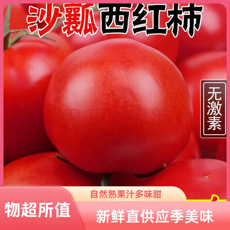 沙瓤西红柿新鲜番茄自然熟番茄沙瓤自然熟西红柿5斤沙瓤番茄
