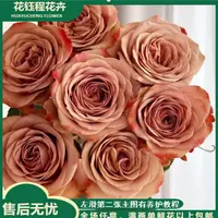 卡布玫瑰 花苞小品种属性杆子脆易断头两单以上包邮损坏10%不售后