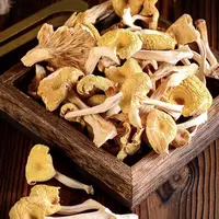 2025年新东北去根榆黄蘑新货250g干货煲汤炖菜