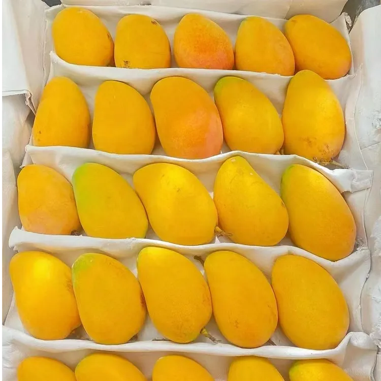 海南小台农芒果新鲜小台芒9斤应当季热带水果整箱包邮特产芒果5
