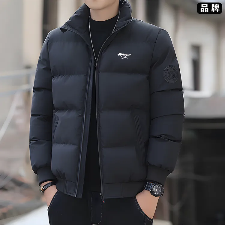 品牌男士棉衣男秋冬季保暖立领棉衣棉服短款冬装宽松大码外套男