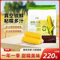 【25年11月】220g*8根 谷米集 甜糯东北玉米 新鲜低脂软糯