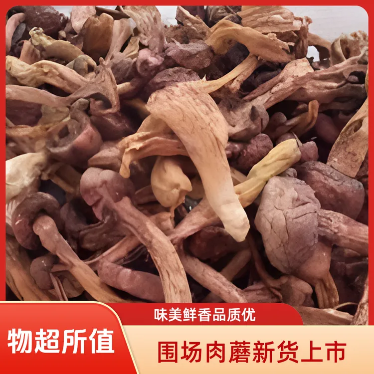 承德围场特产肉蘑菇2025年新货250--500克