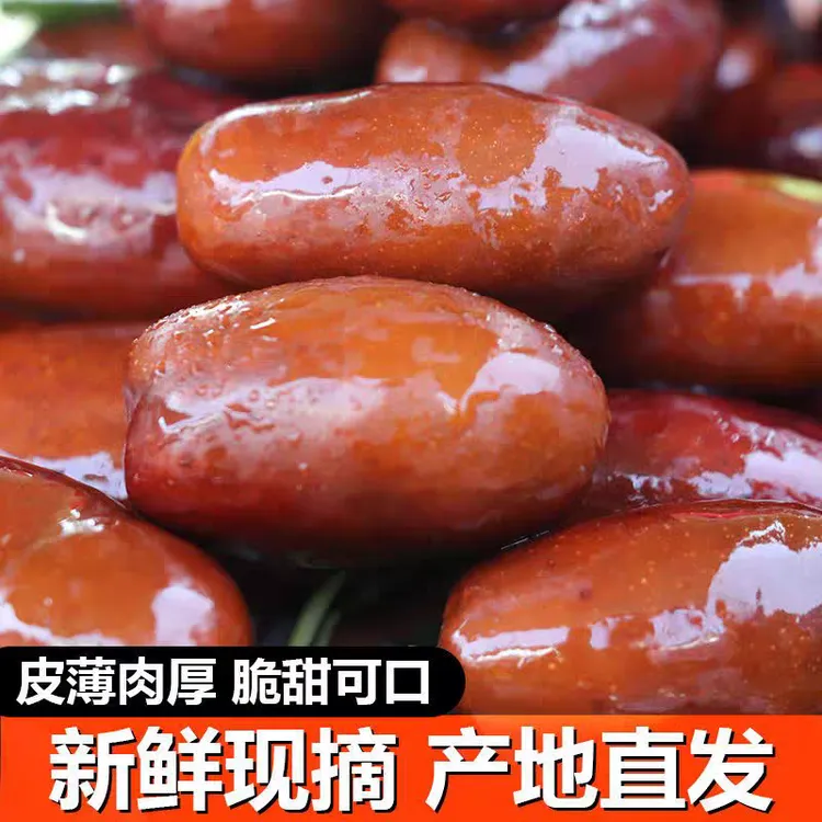 宁夏灵武长枣脆甜大枣红长枣鲜枣当季水果现摘产地直发孕妇非冬枣
