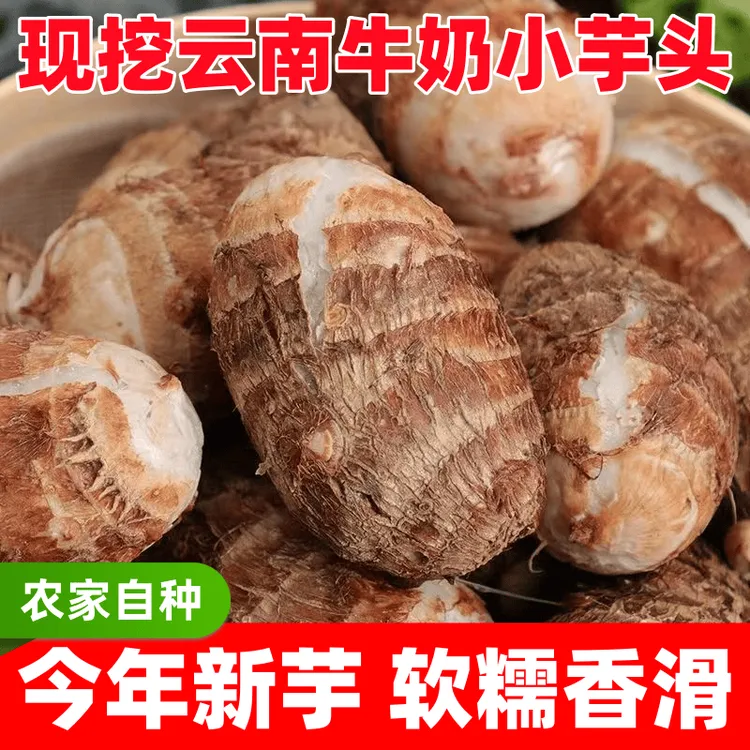 【香糯粉滑】云南牛奶小芋头香芋芋艿批发农家新鲜粉糯新鲜现挖直发