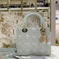 95新 DIOR/迪奥 青奢荟/浅色戴妃四格手提包//61166