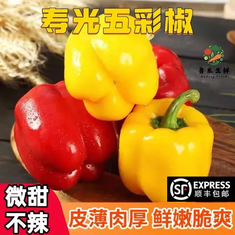 【产地甄选】新鲜五彩椒水果甜椒圆椒太空椒柿子椒灯笼椒生吃不辣