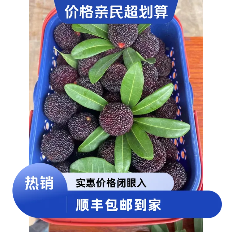 顺丰包邮到家 浮宫黑炭硬丝杨梅 果肉饱满 现摘现发 品质保证