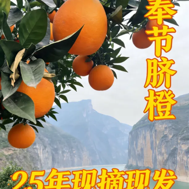 [认准产地直发]正宗奉节脐橙现摘现发爆甜整箱包邮