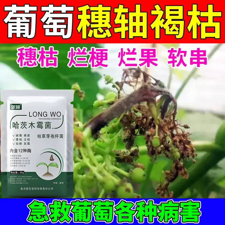 葡萄穗轴褐枯专用葡萄树感染病毒水溶肥防果树黄叶卷叶发皱炭疽病