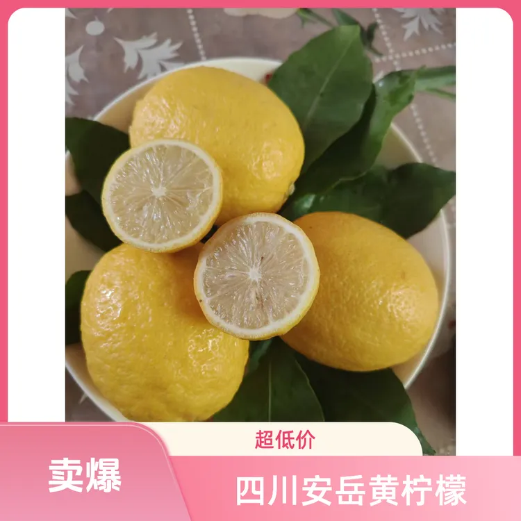 四川安岳黄柠檬二三级果表皮有瑕疵充足浓郁酸甜种植户新鲜黄柠檬