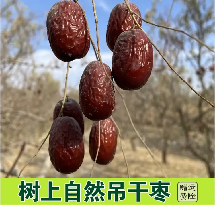 【张三疯专属】三疯专享2025年新疆若羌红枣灰枣原生态未清洗带土灰枣中果包邮