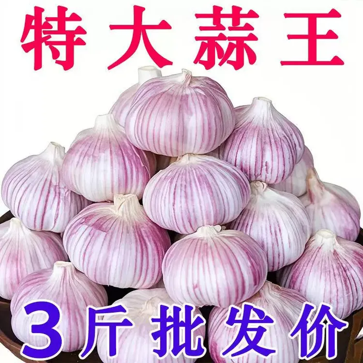 2025年紫白皮大蒜新干蒜特大干蒜自然晾晒皮薄蒜粒大