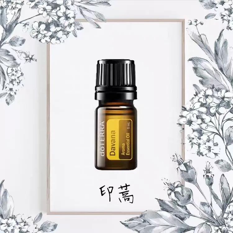 印蒿精油doTERRA多特瑞美国5ml单方精油香熏