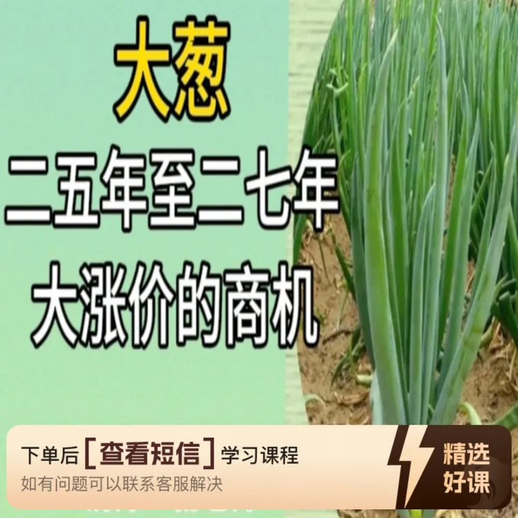 大葱二五年至二七年大涨价商机（留意短信解锁课程）