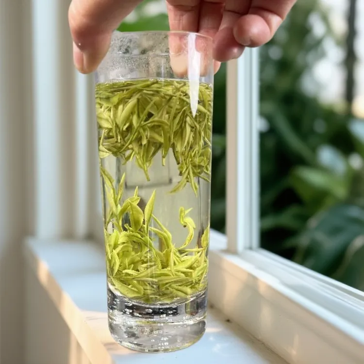 六姐家的茶A53款明前春茶耐泡浙江绿茶原产地安吉白茶自饮茶叶