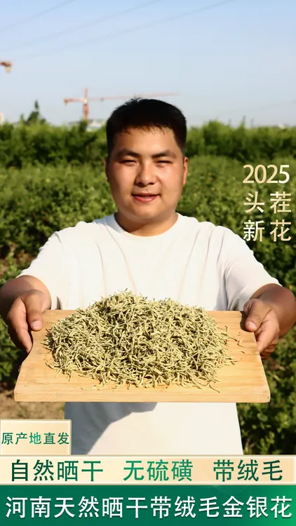河南头茬天然干货晒干带绒毛金银花