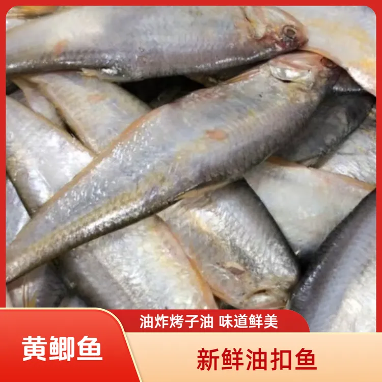 新鲜马口鱼鲜冻黄鲫子鱼油炸烤子鱼海鲜冷冻油扣鱼簿鲫顺丰