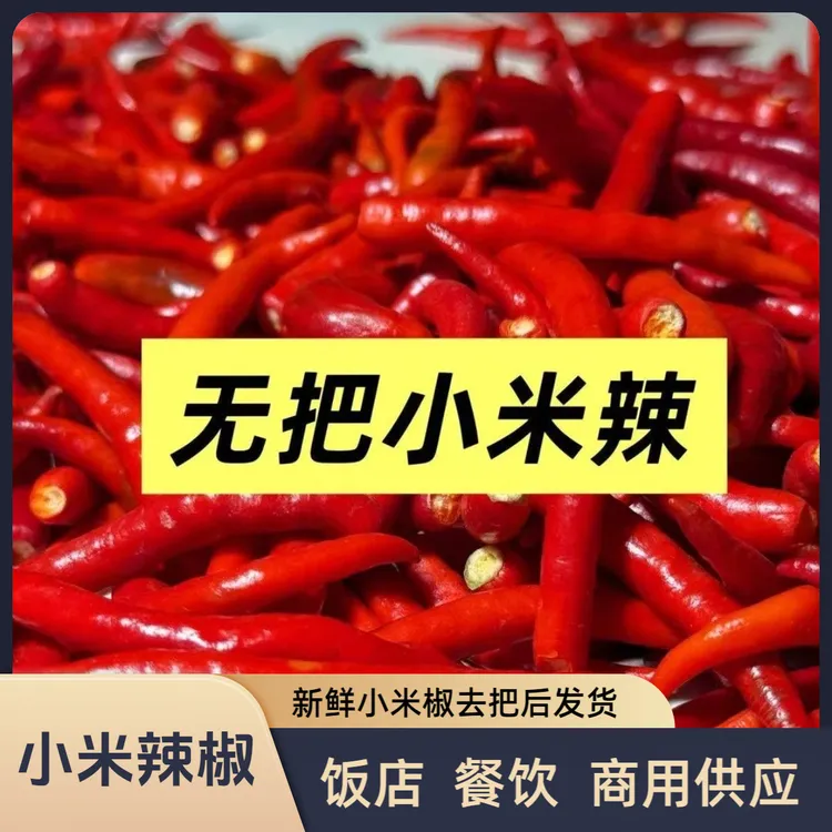 【无把小米椒】新鲜小米辣椒现摘去把发货餐饮食堂工厂产地供应