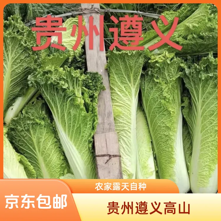 霜降青口白菜】贵州遵义高山农家露天自种新鲜4-8斤应季京东包邮
