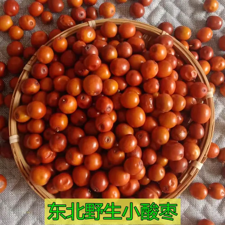 辽宁朝阳新鲜食用野生小酸枣