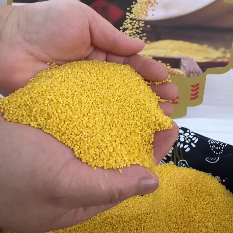 鑫盛垚内蒙古新磨黄金小米 月子米 宝宝米 煮粥米 米油浓郁