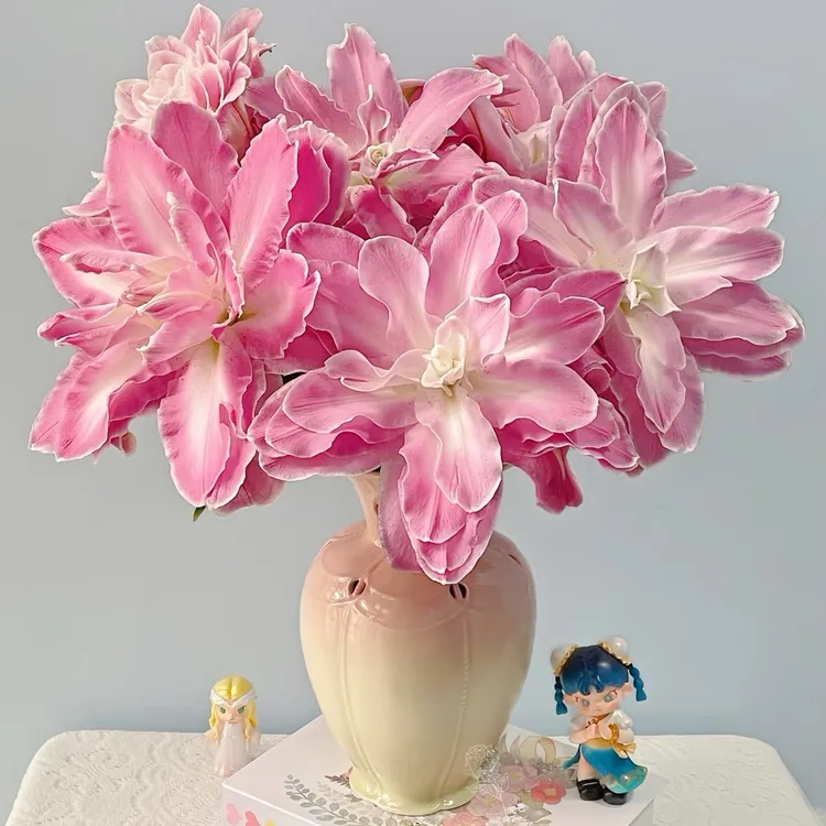【莲花仙子百合鲜花】云南产地直发 | 新鲜采摘
