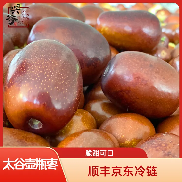 【顺丰京东冷链】太谷壶瓶枣鲜枣脆枣 一年只吃一个月 新鲜