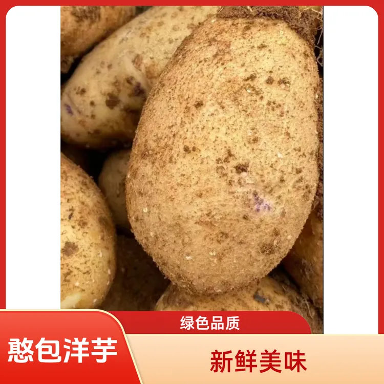 贵州高山老品种特产农家威宁白心憨包洋芋土豆马铃薯当季新鲜蔬菜