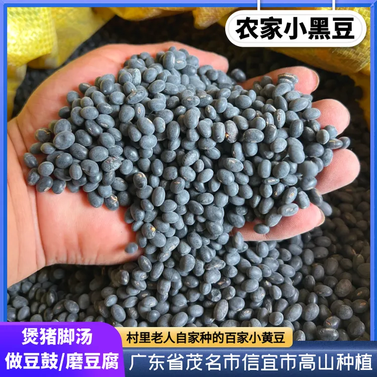 【农家小黑豆】小黄豆3斤起广东信宜农村里老人自种自晒黄豆打豆浆