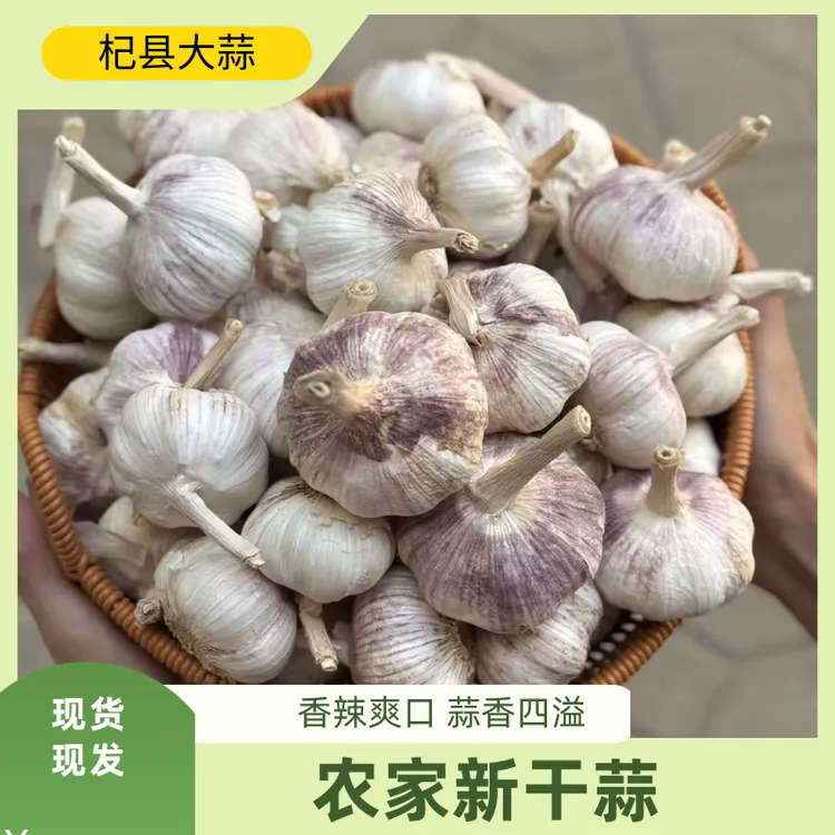 大蒜之乡2025农家自种正宗紫白皮大蒜大个头杞县大蒜