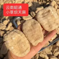 云南昭通小草坝干天麻精选干货正宗高海拔生长