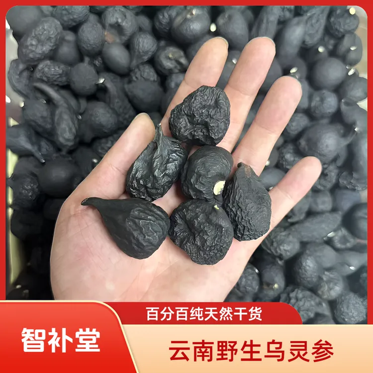 【云南野生乌灵参】精选干货实心雷震子鸡枞胆乌丽参黑蛋蛋黑球球