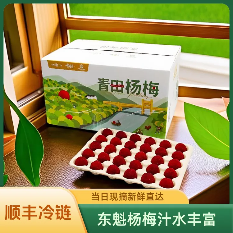27°梅东魁杨梅正宗青田新鲜大棚杨梅顺丰冷链送礼精品礼盒120颗