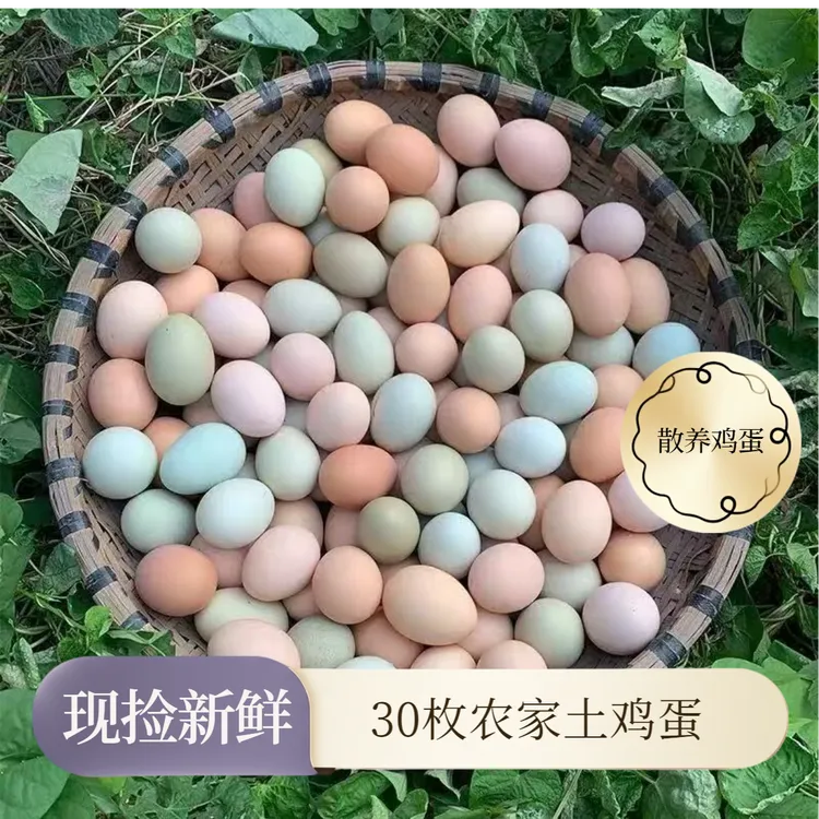 新店促销:正宗土鸡蛋：绿壳蛋，乌鸡蛋，散养土鸡蛋