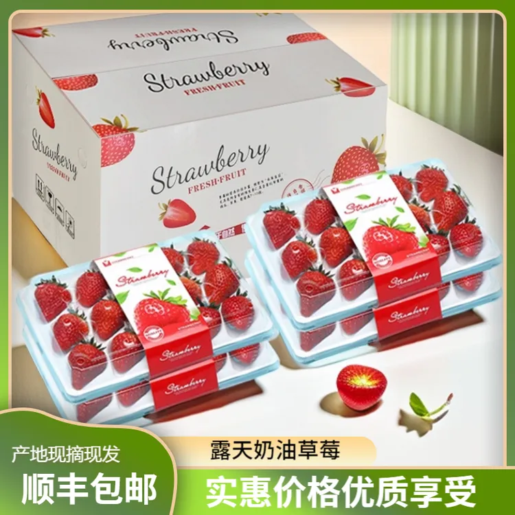 顺丰包邮四川大凉山露天奶油新鲜采摘香甜孕妇水果非丹东99草莓