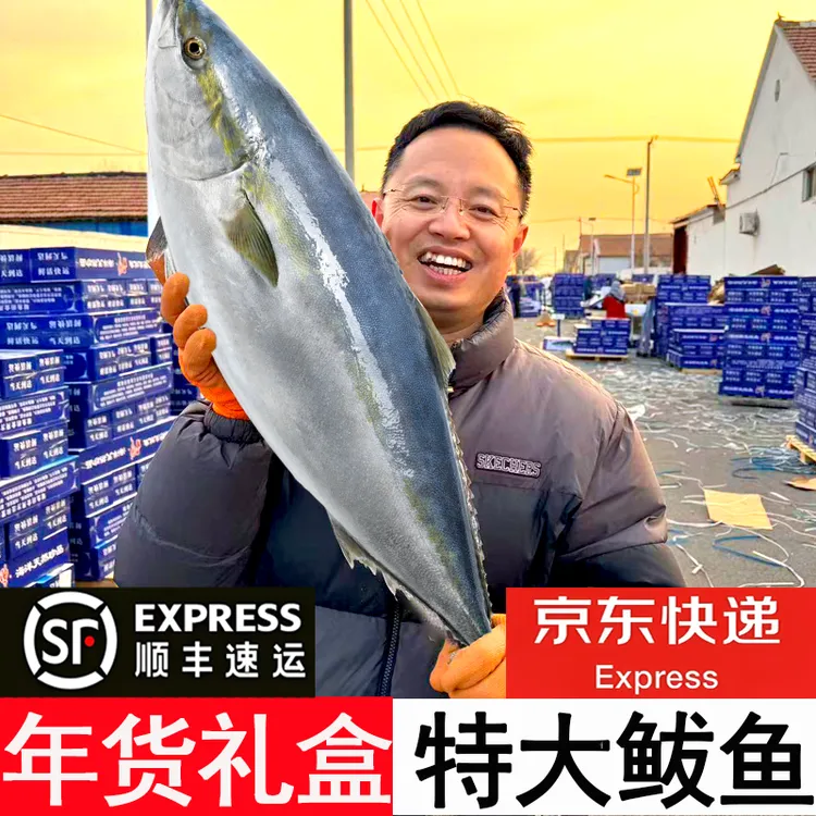 【顺丰包邮】特大黄金鲅鱼黄尾鰤青甘鱼整条特大20斤高端年货礼盒