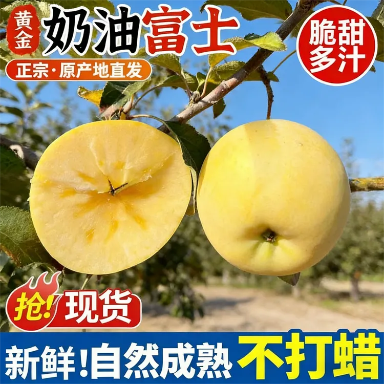 【黄金奶油苹果】山东烟台多汁鲜果新鲜脆甜爆汁冰糖心减脂代餐食品