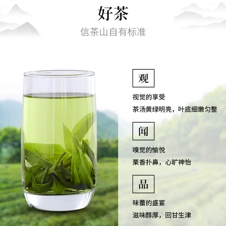 【信茶山】信阳毛尖绿茶一芽一叶高香手工口粮茶实惠装