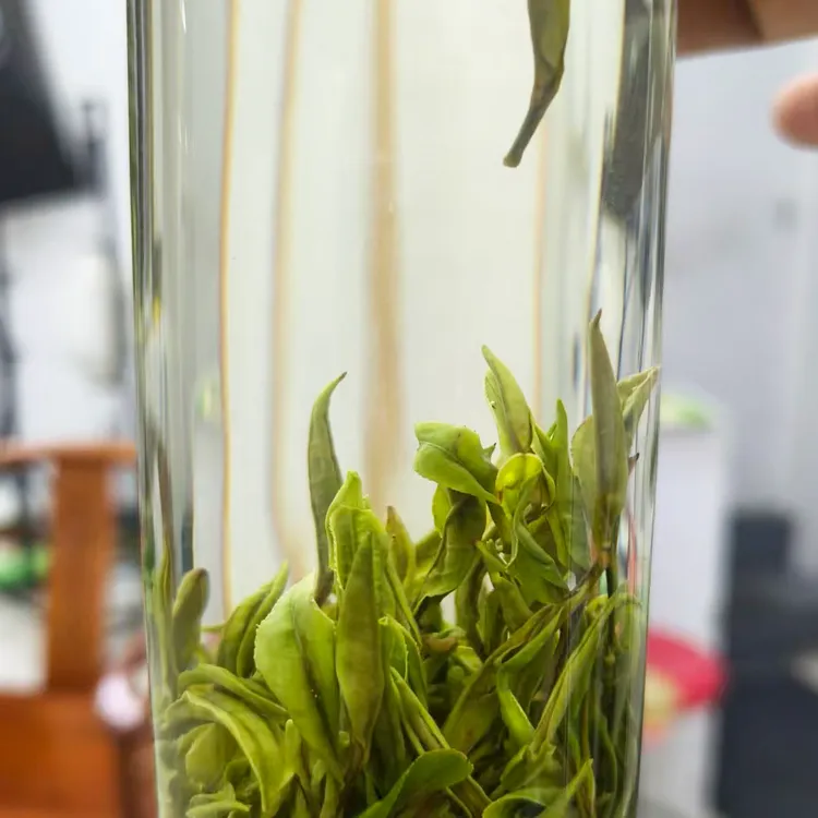 黄山毛峰#大洋湖产区#海拔700米姐姐家的大茶口粮