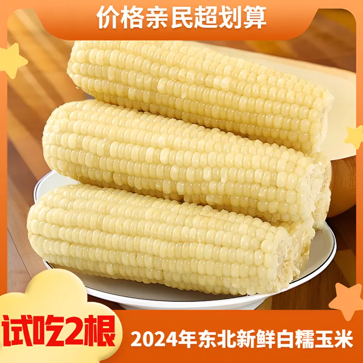 【试吃2根】东北白糯玉米甜糯款整箱10送2支12装