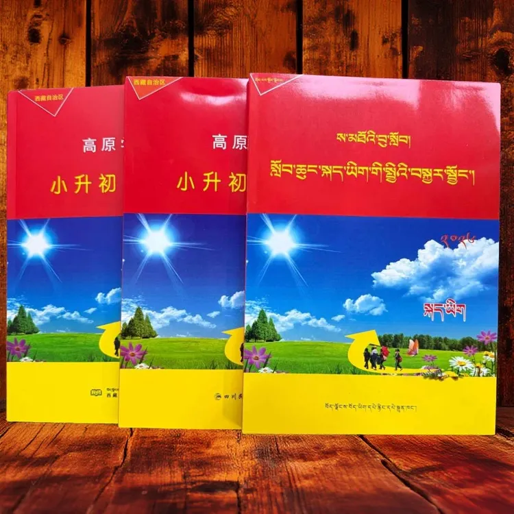 2026 小升初总复习高原学子（语文/藏文/综合/数学