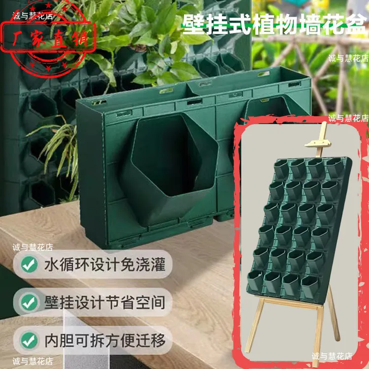小某书同款花架画架植物盒蜂巢种植盒室内装饰墙